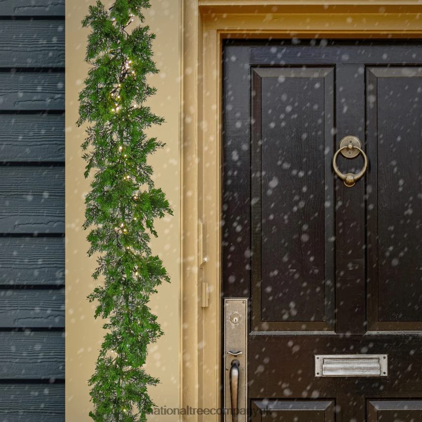 Greenery | National Tree Company Pre Lit Artificial Garland Cedar Green Decorated with Warm White LED Lights Plug In Christmas Collection 9 Feet F2L4F392